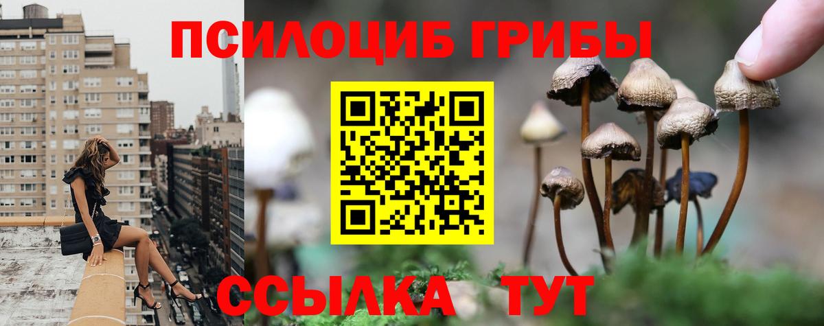 Чайковский  Галлюциногенные грибы мицелий  Вход с VPN  Псилоцибиновые грибы прущие грибы 