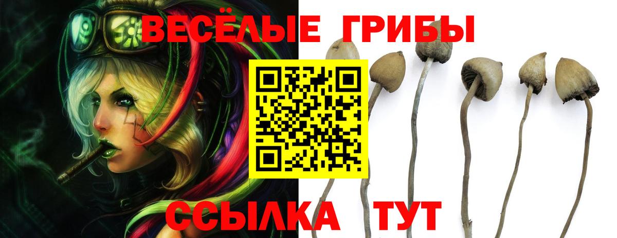 Галлюциногенные грибы GOLDEN TEACHER Чайковский